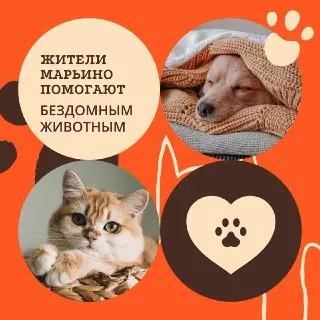 Библиотека в Марьино собирает помощь для приютов животных