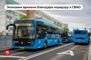 Новый Ускоренный Коридор в СВАО Увеличил Скорость Автобусов