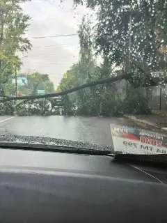 Упавшее дерево заблокировало Носовихинское шоссе
