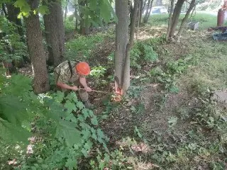 В Коньково завершен демонтаж незаконных бетонных конструкций
