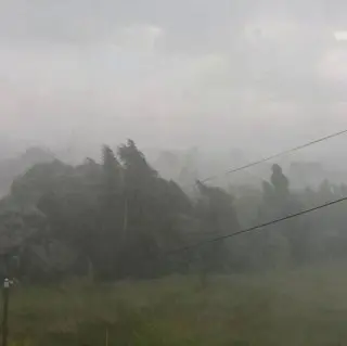 Сильный дождь и гроза ожидаются в Москве в ближайшие часы