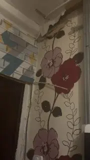 Затопление в подъезде: жители улицы Космонавтов требуют решения проблемы