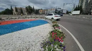 На площади Ленина высадили 60 новых клумб с петуниями