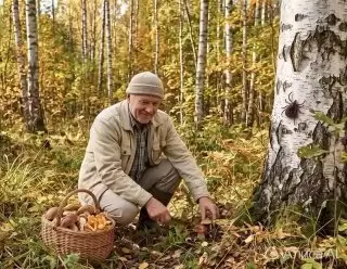 Клещи активизируются: второй пик в августе-сентябре