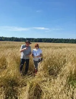 Проверка урожая зерновых в Жуковском округе: результаты и прогнозы