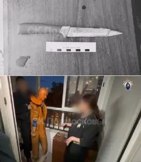 Женщина убила мужа ножом во время ссоры в Пушкино