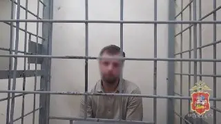 Угонщик Mercedes задержан в аэропорту после кражи собственной машины