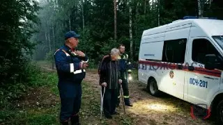В Балашихе спасли 84-летнего мужчину, пропавшего в лесу