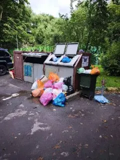 Жители дома на Багрицкого требуют улучшения условий вывоза мусора