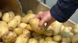 Цены на Продукты Снизились: Что Выгодно Покупать в 2026 Году