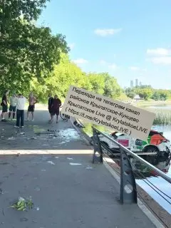 Каршеринг упал в Москву-реку с Крылатского моста: подробности