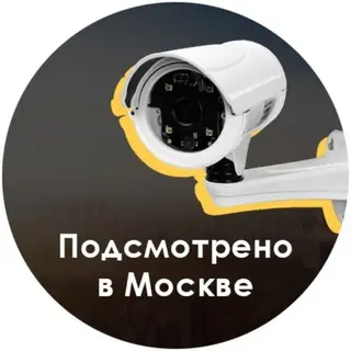 Каршеринг упал в реку с Филёвской набережной: подробности инцидента