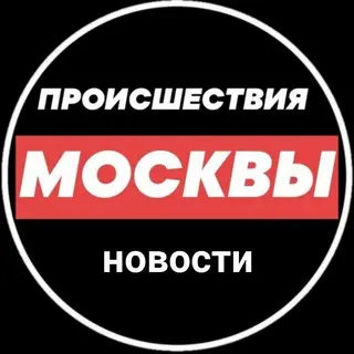 Человек упал с Патриаршего моста: спасатели на месте происшествия