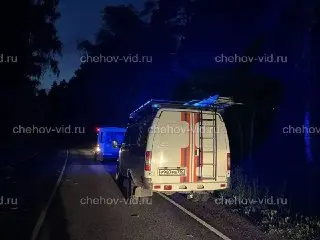 В Подмосковье в сгоревшем авто найдено тело мужчины