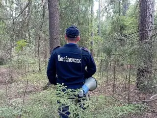 Спасатели нашли заблудившуюся грибницу в Коломне