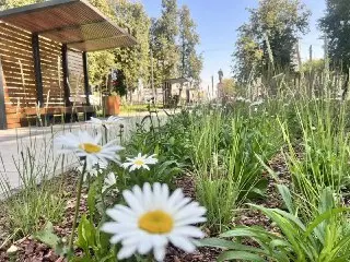 Обновление сквера на площади Ленина: новые удобства для жителей