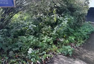 Жители Лианозово требуют уборки во дворе дома на Псковской улице