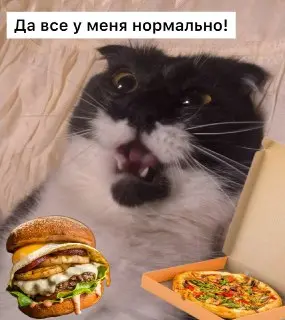 Ультрапереработанная еда: Как она влияет на психическое здоровье?