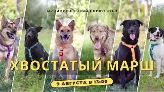 Хвостатый марш перенесен на 9 августа из-за жары