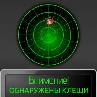 Внимание: Второй Пик Активности Клещей Ожидается В Августе-Сентябре
