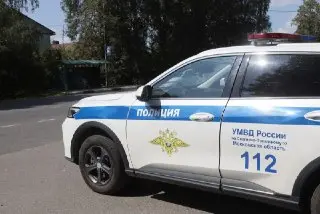 Задержана подозреваемая в кражах с садовых участков
