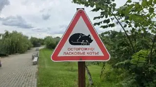 В «Экодеревушке» открывается «Дом кошки» для спасенных животных