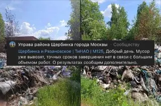 Очистка свалки у Остафьево: работы начаты, сроки не названы