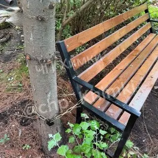 В Химках похититель скамеек: скамейка найдена в кустах