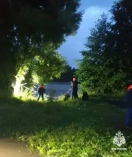 Трагедия в Подмосковье: 9-летний мальчик утонул в пруду