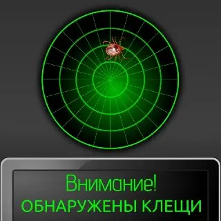 Второй Пик Активности Клещей: Будьте Осторожны в Парках