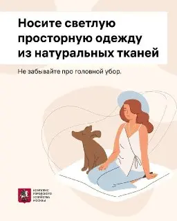Как пережить жару: Рекомендации для москвичей на август