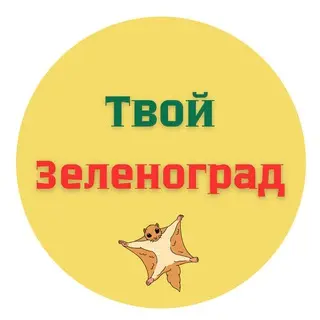 Креатин как средство борьбы с депрессией: новое исследование