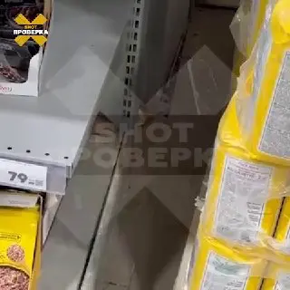 Антисанитария в Архангельском: крысы в магазине «Пятёрочка»