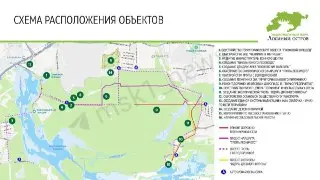 Благоустройство «Лосиного острова»: новые изменения и протесты жителей