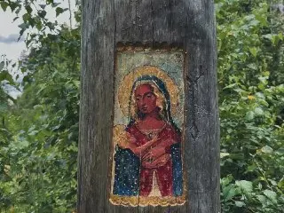 В лесу под Балашихой обнаружена чудотворная икона на дереве