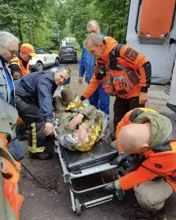 Пожилого грибника спасли в Малых Вяземах после суток в лесу