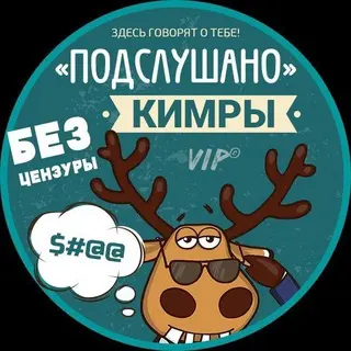 Критическая ситуация с бензином в Кимрах и Дубне: очереди растут