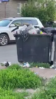 Проблема с мусором в Лукино-Варино: птицы разносят отходы