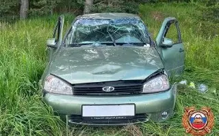 ДТП под Дубной: женщина и ребенок пострадали в аварии