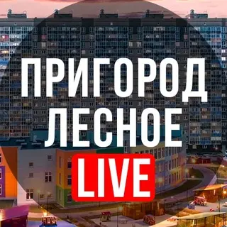 Путин поручил стабилизировать топливный рынок России из-за очередей