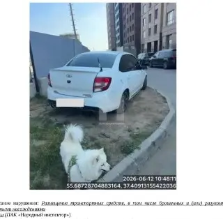 Автомобилист разоблачает ‘стучащую’ соседку по фото с собакой