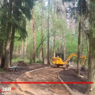 Лесопарк «Массовка»: 60% пешеходных дорожек уже готовы