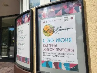 Выставка Марины Каштуля в Мытищах: красота Пироговского леса