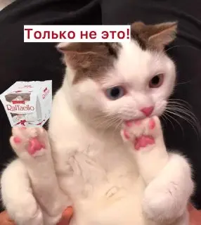 Сладости Raffaello и Kinder могут исчезнуть из магазинов X5