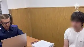Подросток задержан за подготовку массового убийства в школе Домодедово