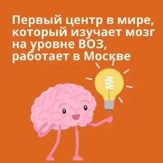 В Москве открыт первый в мире центр по изучению мозга с поддержкой ВОЗ