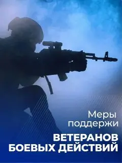 День ветеранов боевых действий: Честь и память защитников Отечества
