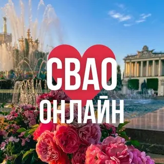 Путин о нехватке бензина в России: меры по стабилизации рынка