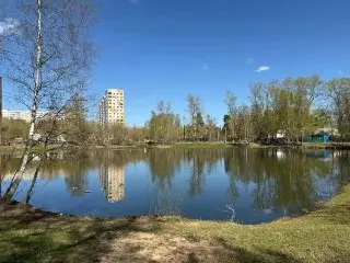 Пруд на Шевченко в Люберцах победил в голосовании на благоустройство