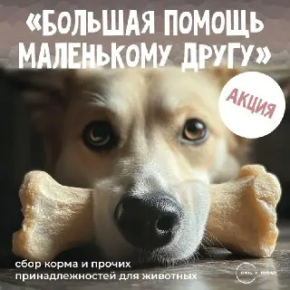 Акция «Большая помощь маленькому другу» в ЮВАО: как помочь животным